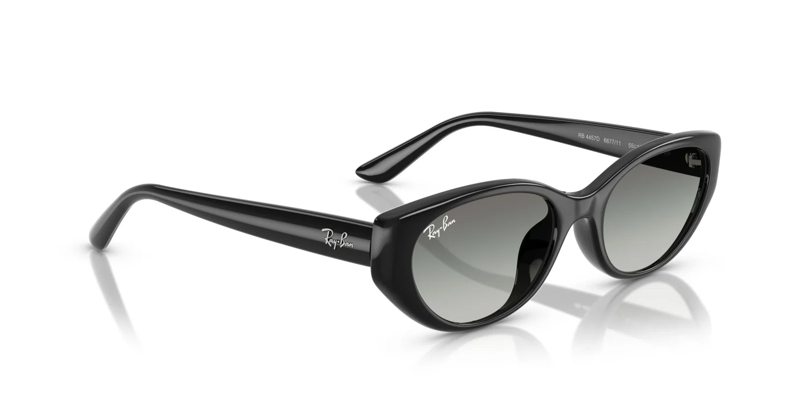 Ray-Ban 4457D Sunglasses - view 14